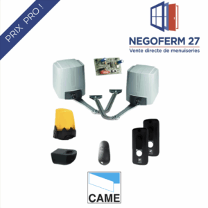 Motorisation portail CAME FAST U1872